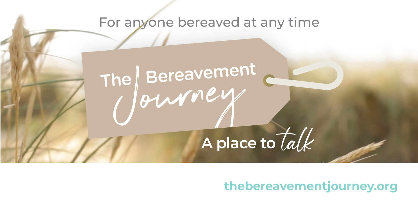 TBJ Banner for website