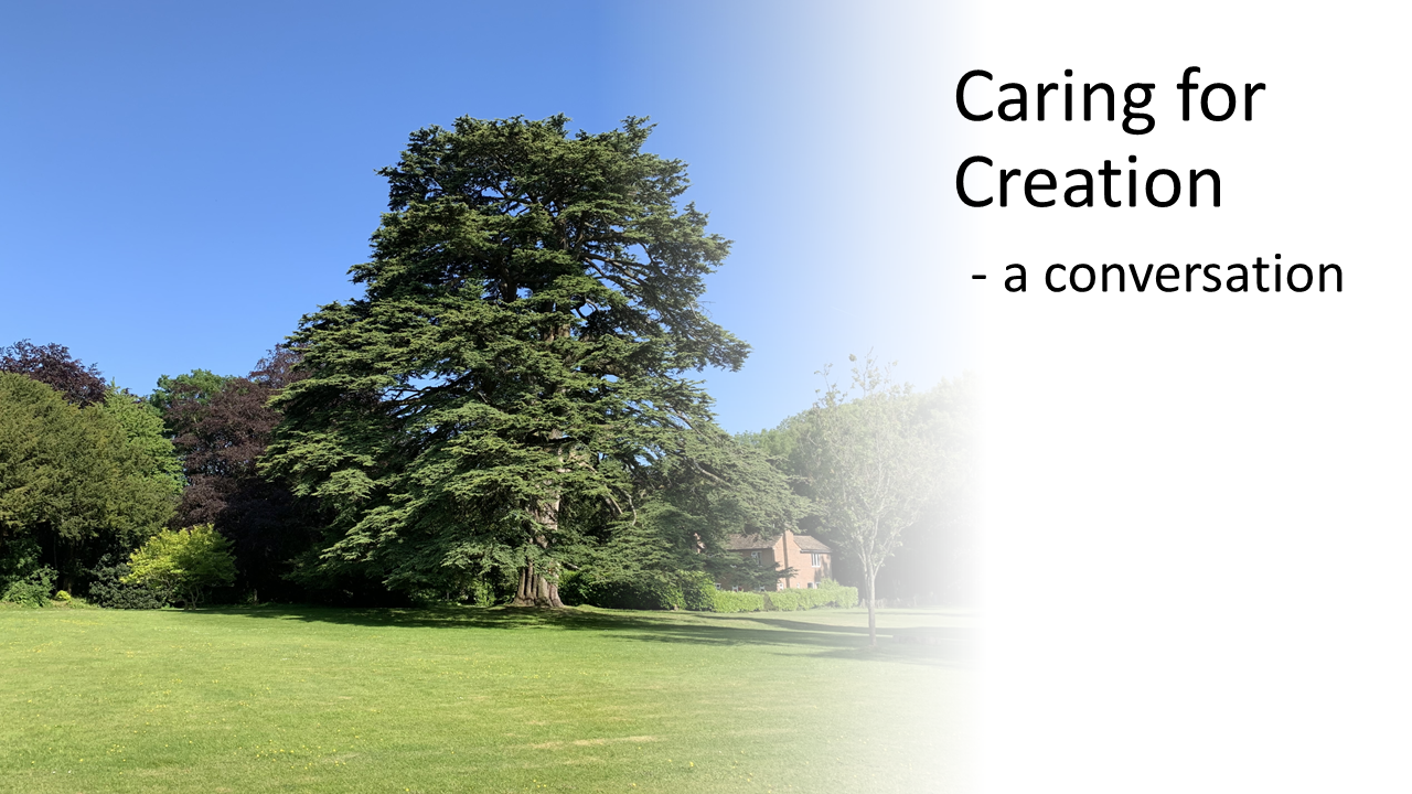 Caring for Creation no date
